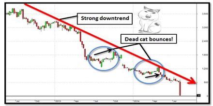 Dead Cat Bounce - Assignment Point