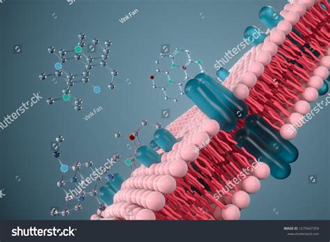 4,286 3d Cell Membrane Images, Stock Photos & Vectors | Shutterstock