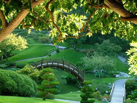 Japanese garden wallpapers new