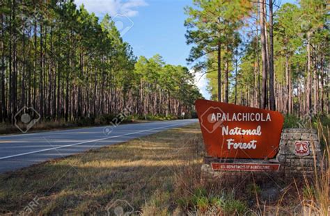 Apalachicola National Forest - Bristol, FL - National Parks - RVPoints.com