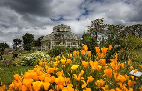 The National Botanic Gardens Glasnevin - Egans Guesthouse