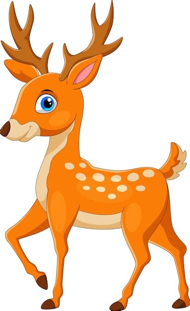 Premium Vector | Funny deer cartoon