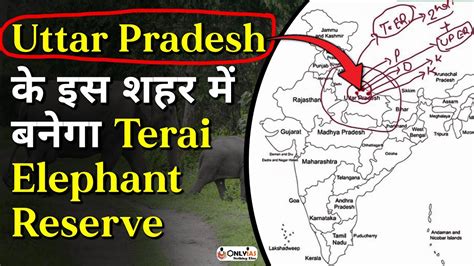 India’s 33rd, Elephant Reserve to come up in Uttar Pradesh |Terai ...