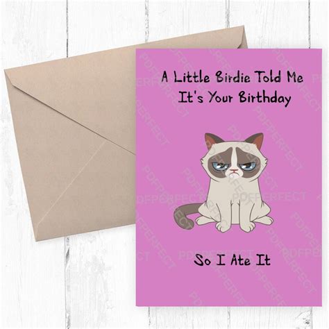 Funny Grumpy Cat Birthday Card Pink & Blue Included - Etsy