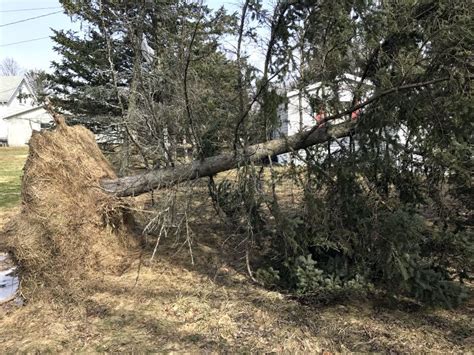 Fallen Tree from Wind Storm Damage Stock Image - Image of tornado, tree: 88597855