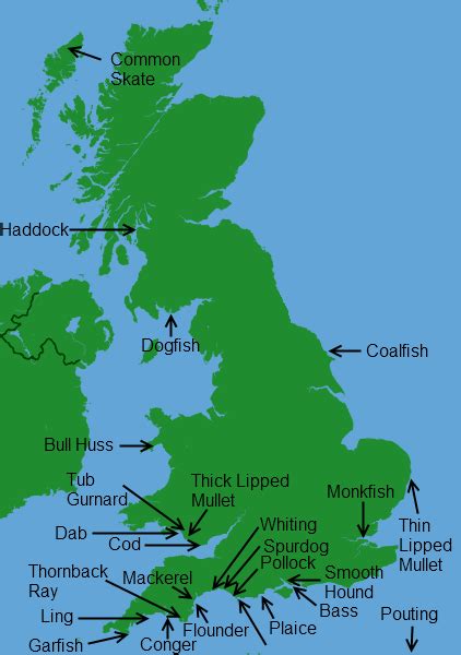 UK Record Fish Catches | Britishseafishing.co.uk