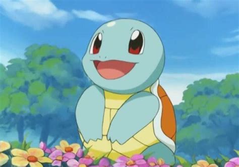 Squirtle Pokemon Toy, Pokemon Memes, Pokemon Funny, Squirtle, Charizard ...