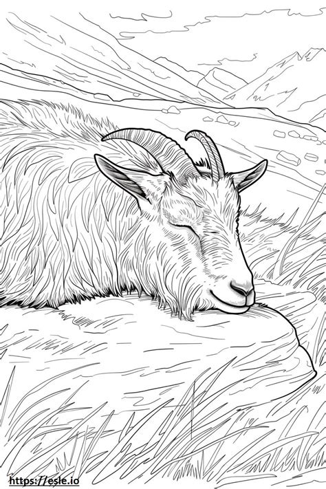 Alpine Goat Sleeping coloring page