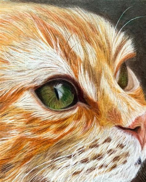 Colored Pencil Ginger Cat [Video] | Ginger cat art, Drawings, Cat ...