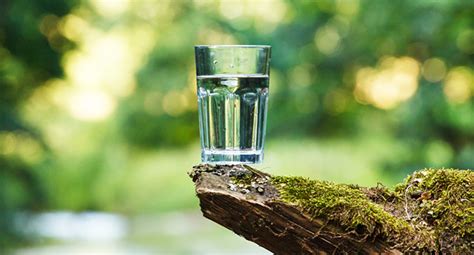 Spring Water vs. Purified Water: Which Is Better for Drinking?