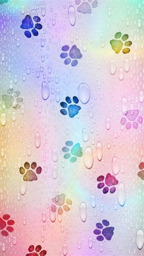 Animal, paw, print, HD phone wallpaper | Peakpx