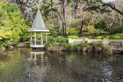 Wellington Botanic Gardens | Things to Do | Atura Wellington | Formerly ...