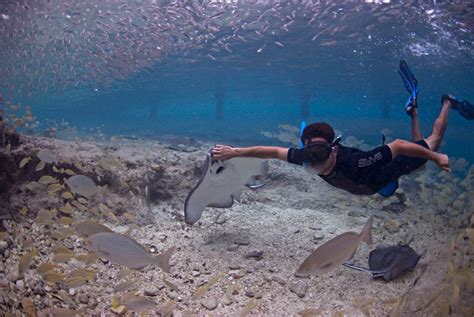 Stingray Beach Cozumel Mexico Address and Map