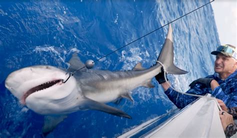 Gronk Catches Bull Shark While Fishing With BlacktipH | OutdoorHub