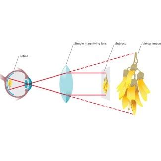 Magnification and Diopter, low vision aids, reading glasses, magnifiers