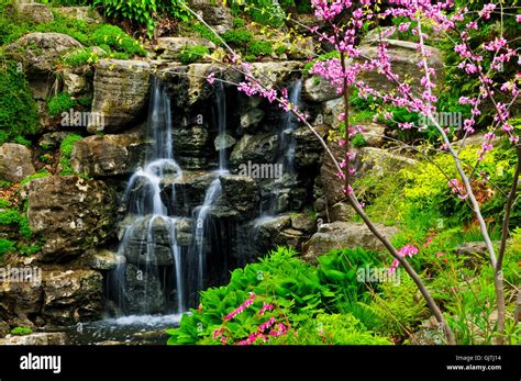 garden waterfall rocks Stock Photo - Alamy