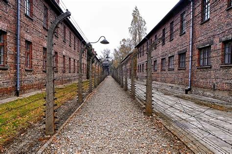 Genosse Hohl Stau krakau auschwitz route Gänseblümchen Zilien Darstellung