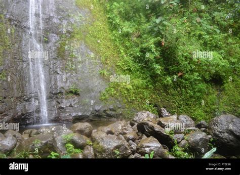 Manoa Falls Oahu Island Hawaii USA Stock Photo - Alamy