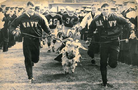 USNA - Bill the Goat, leading the football team in c.1970. | Naval ...