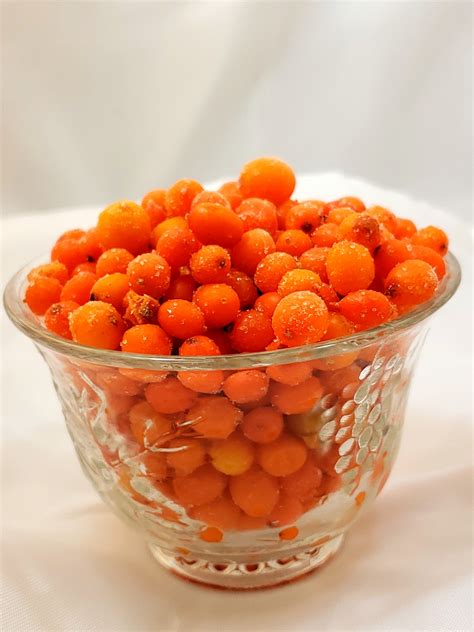 SEA BUCKTHORN BERRY, WHOLE DOMESTIC FROZEN – 5 LB – Food Innovations