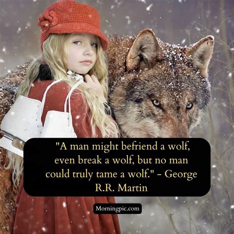 225+ Wolf Quotes To Inspire Strength, Unity, And Loyalty