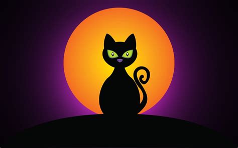 🔥 [30+] Black Cat Halloween Wallpapers | WallpaperSafari