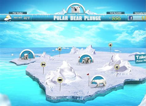 San Diego Zoo: Polar Bear Plunge | Communication Arts