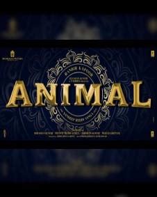 Animal (2023) | Animal Bollywood Movie | Animal Movie: Release Date, Cast, Review, Trailer ...