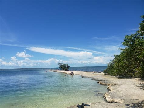 Horseshoe beach 🏖️ Florida, United States - detailed features, map, photos