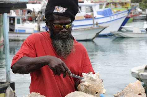 Nassau - Potters Cay; Fish Market (7) | Bahamas | Pictures | Bahamas, The in Global-Geography