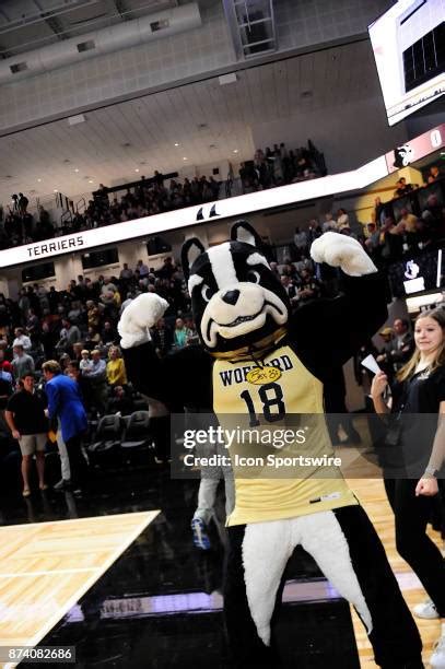 Wofford Mascot Photos and Premium High Res Pictures - Getty Images