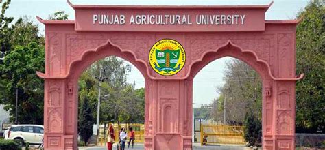 Punjab Agricultural University 2022 Admission, Exam Date, Online Apply