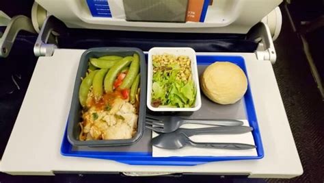 United Airlines food meals on my international flight to Europe 🌴 what free meals does United ...