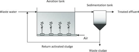 Activated sludge process. | Download Scientific Diagram