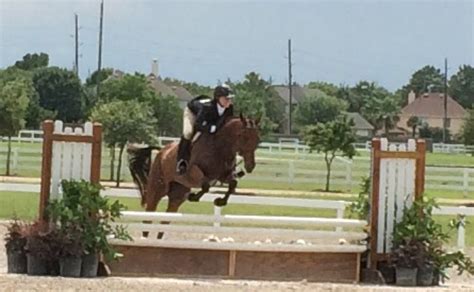 Great Southwest Equestrian Center, 2501 S Mason Rd, Katy, TX, Services ...