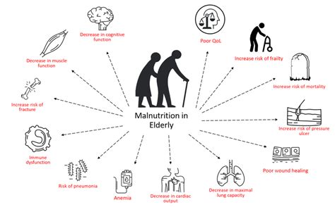 Effect of Malnutrition on the Elderly Population | Download Scientific ...