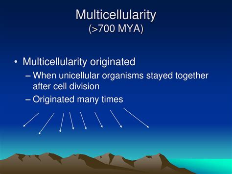 Kingdom Animalia eukaryotic, multicellular, heterotrophic - ppt download