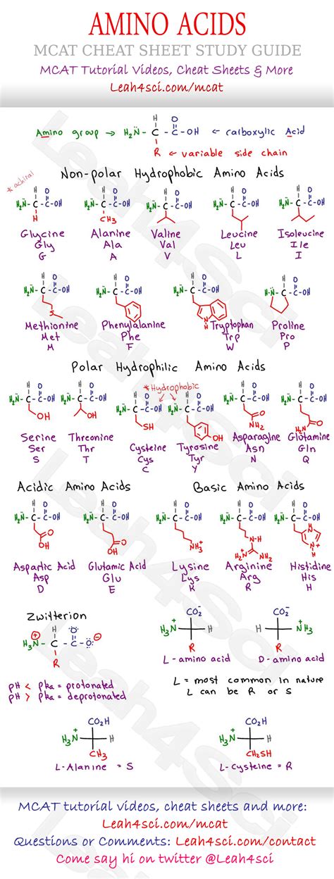 Amino Acid Chart MCAT Cheat Sheet Study Guide