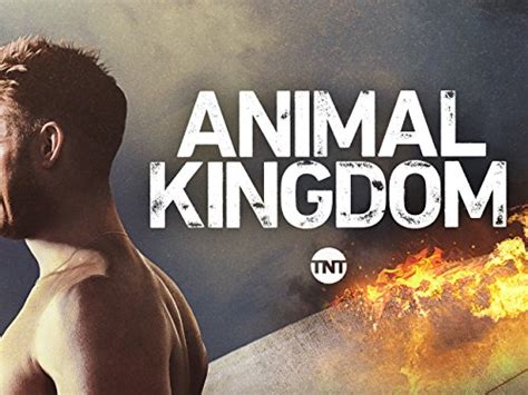 Watch Animal Kingdom Episodes | Season 2 | TVGuide.com