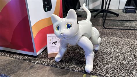 5 Robots That Made CES 2023 a Little Bit Cuter