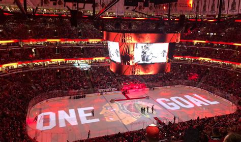 Chicago Blackhawks - Stadium Dude