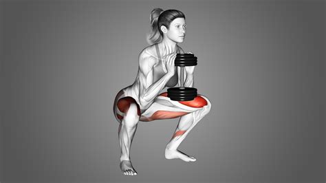 6 Best Goblet Squat Variations (with Pictures!) - Inspire US