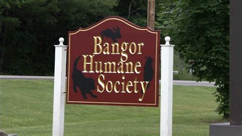 Maine couple leave behind $1.3M for Bangor Humane Society