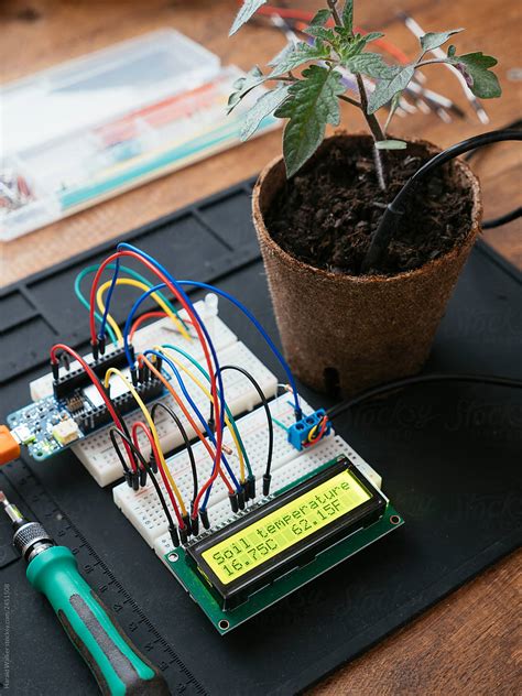 "Soil Temperature Sensor Prototype" by Stocksy Contributor "Harald ...