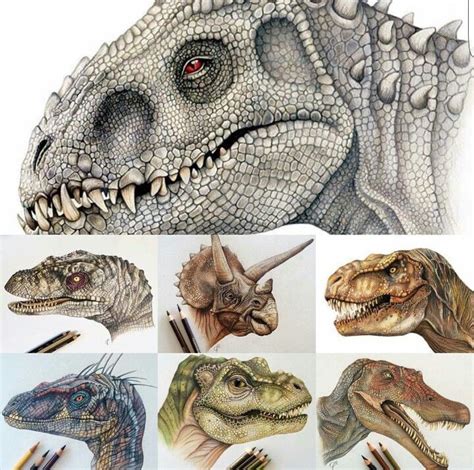 several different types of dinosaurs with colored pencils