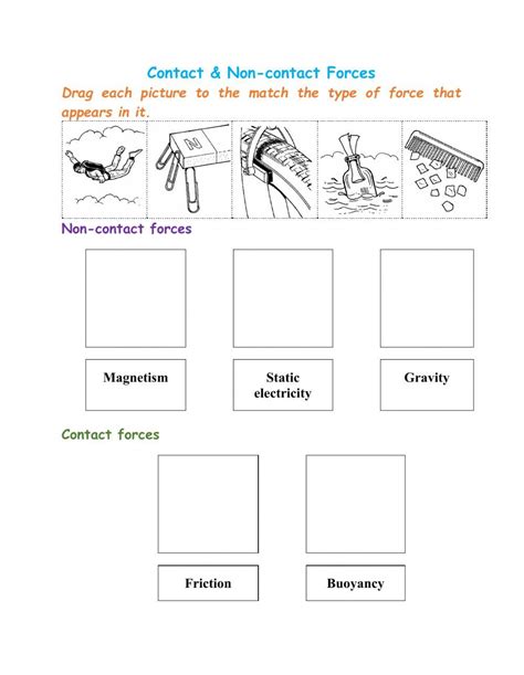 Contact & Non-contact Forces interactive worksheet | Worksheets, Force ...