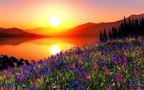 Download Lake Flower Mountain Orange (Color) Yellow Sun Sky Nature Sunset HD Wallpaper