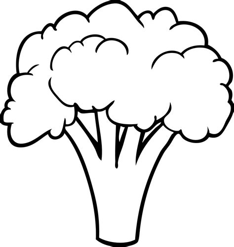 line drawing of a broccoli 12408320 Vector Art at Vecteezy