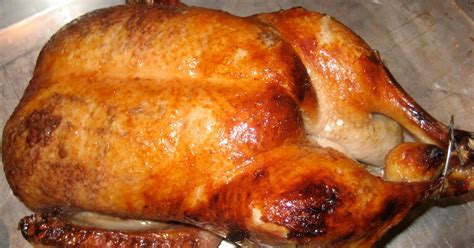 GastroMetrics: Thanksgiving Roast Duck with apricot/cranberry/plum glaze