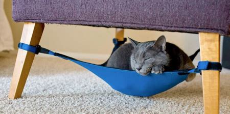 Cat Hammock